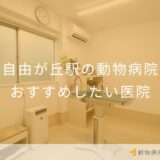 【2025年】自由が丘駅の動物病院 おすすめしたい1医院