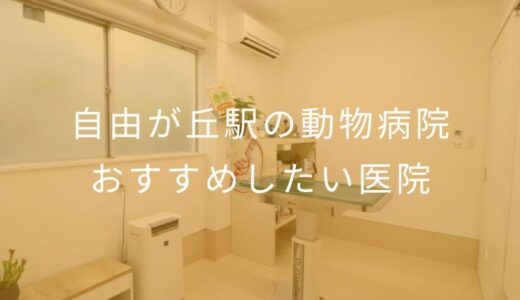【2025年】自由が丘駅の動物病院 おすすめしたい5医院