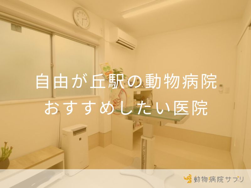 自由が丘駅の動物病院 おすすめしたい医院