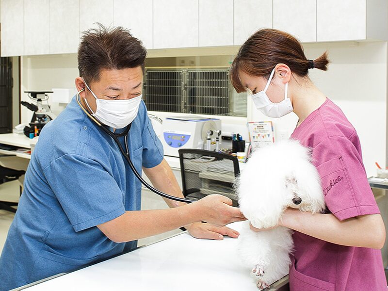 円山動物病院