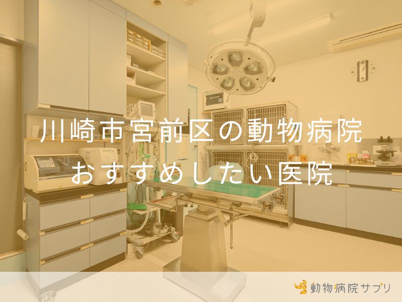 川崎市宮前区の動物病院 おすすめしたい医院