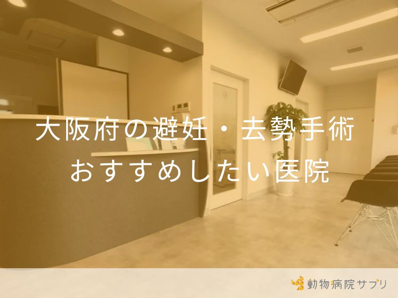 大阪府の避妊・去勢手術 おすすめしたい医院