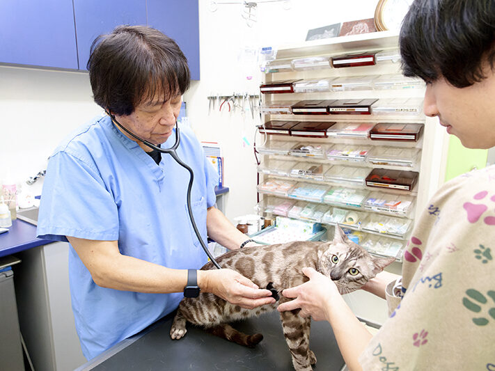 わたりだ動物病院