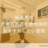 【2025年】横浜市の皮膚科対応の動物病院 おすすめしたい5医院