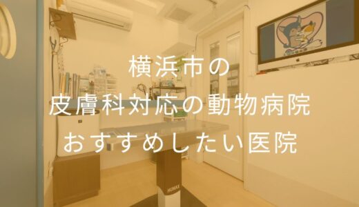 【2025年】横浜市の皮膚科対応の動物病院 おすすめしたい5医院