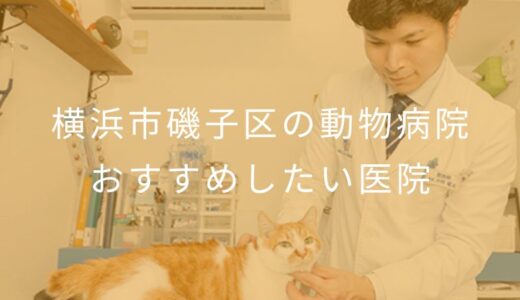 【2025年】横浜市磯子区の動物病院 おすすめしたい5医院