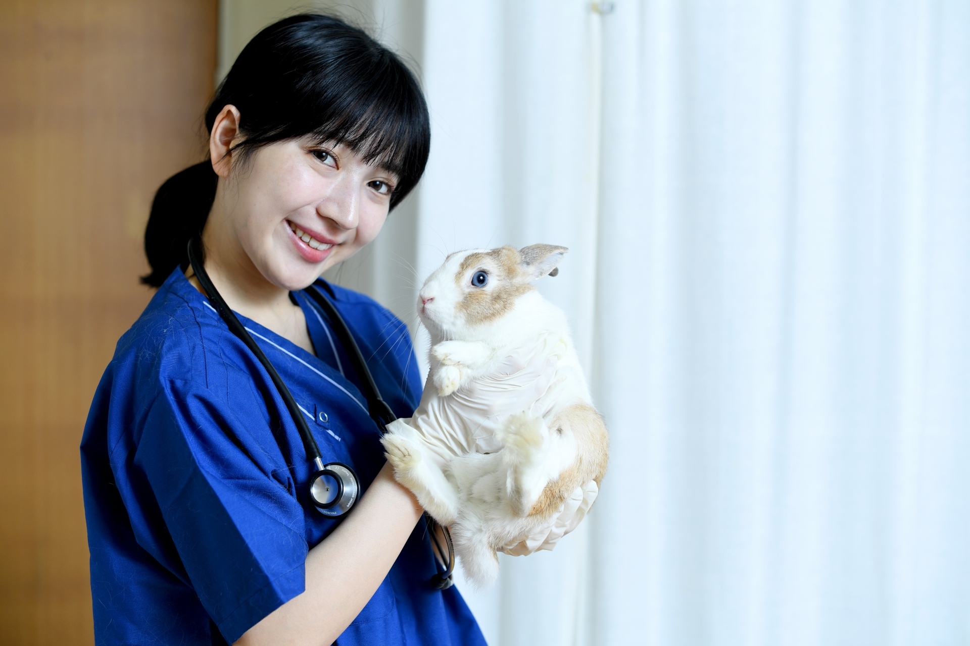 ウサギの診療をする女性の獣医師