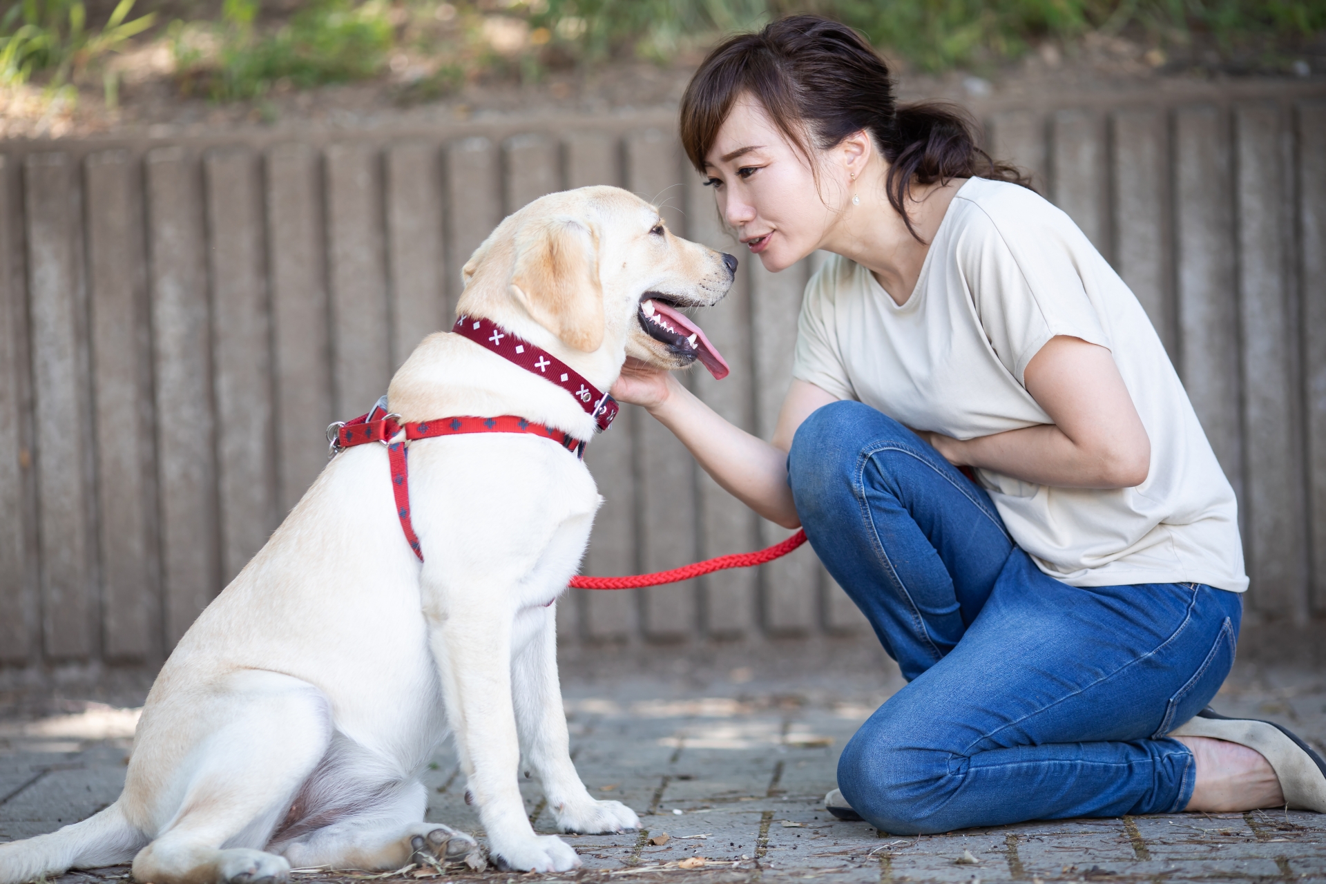 犬の散歩をする女性