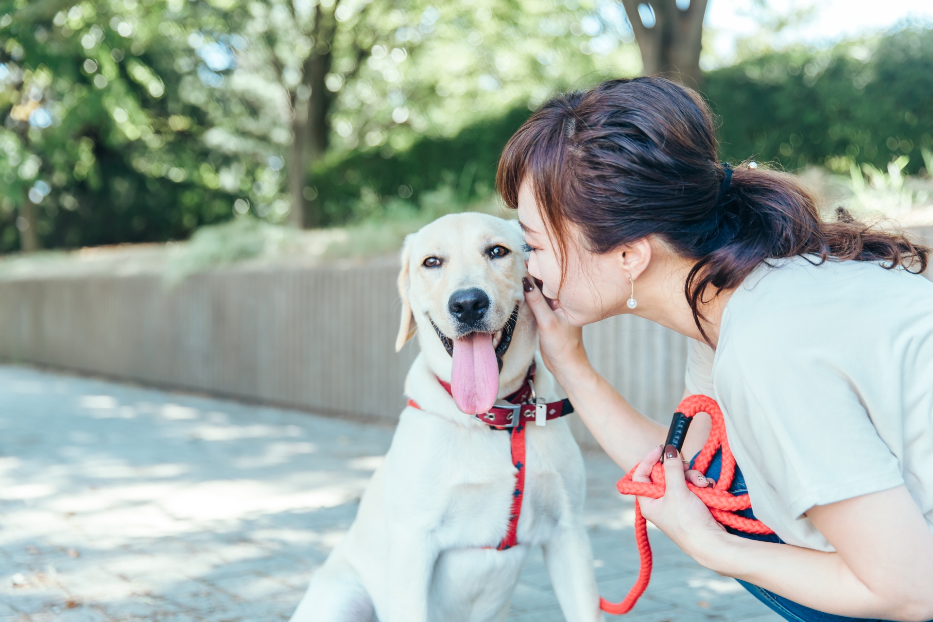 飼い主と散歩する犬