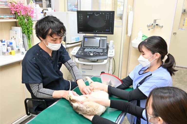 鴨川動物病院