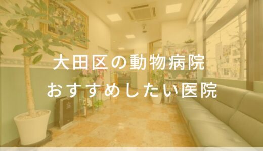 【2025年】大田区の動物病院 おすすめしたい8医院