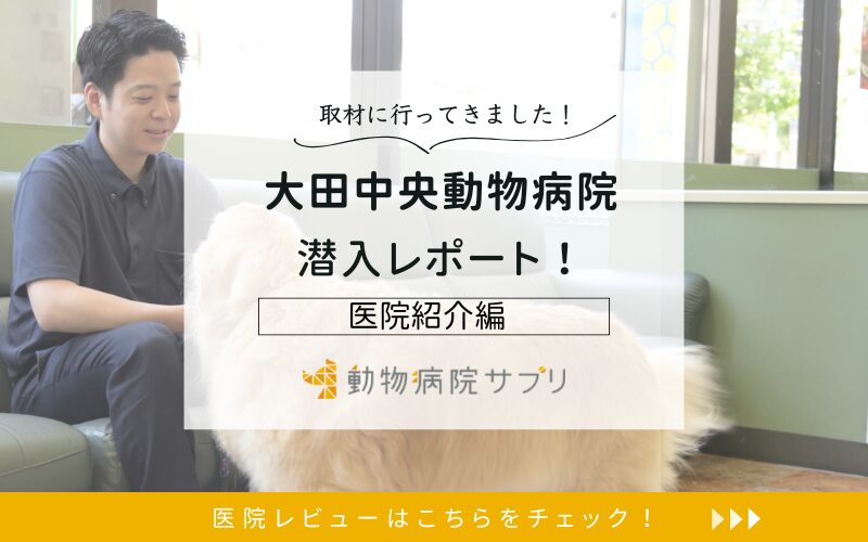 大田中央動物病院レポート
