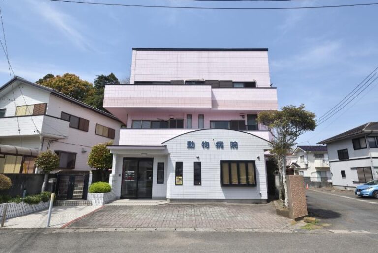 鴨川動物病院