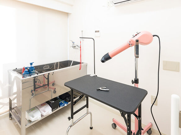 立川アステル動物病院