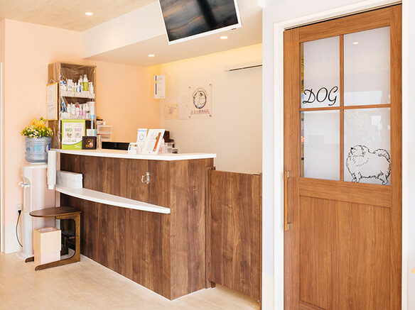 立川アステル動物病院