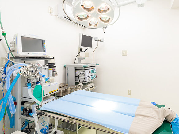 立川アステル動物病院