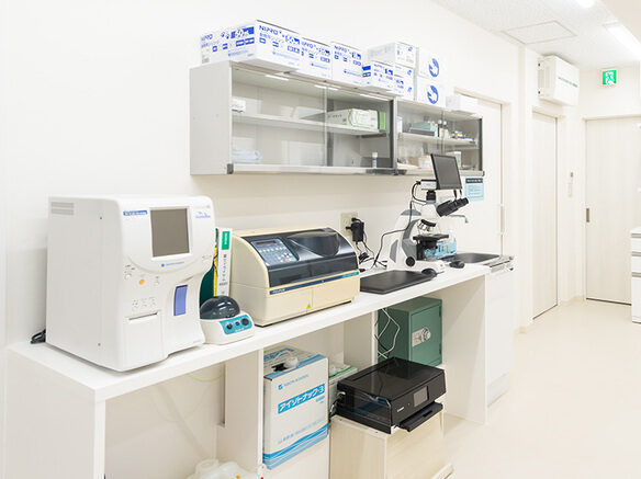 立川アステル動物病院