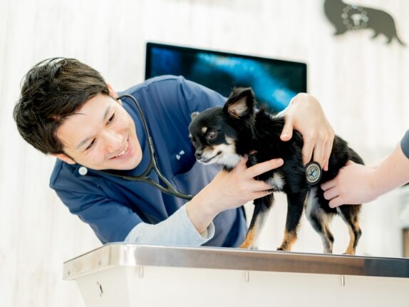 立川アステル動物病院