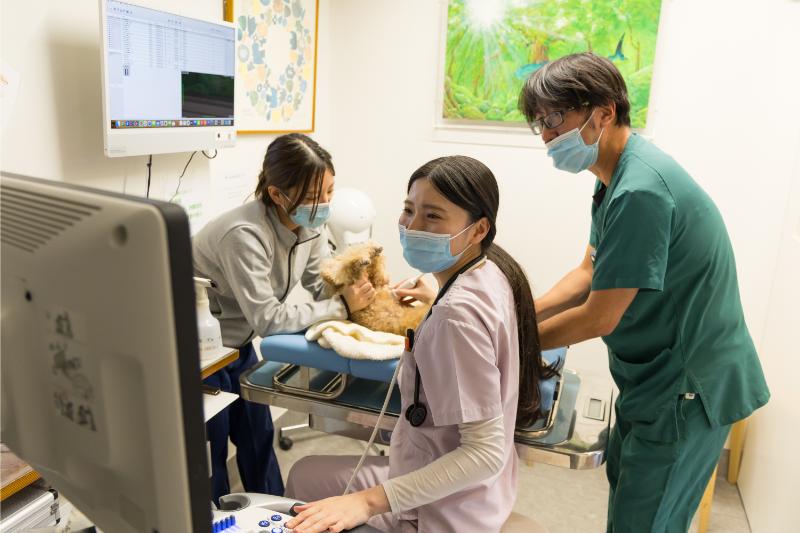 広尾の森どうぶつ病院