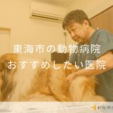 【2025年】東海市の動物病院 おすすめしたい2医院