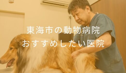 【2025年】東海市の動物病院 おすすめしたい3医院