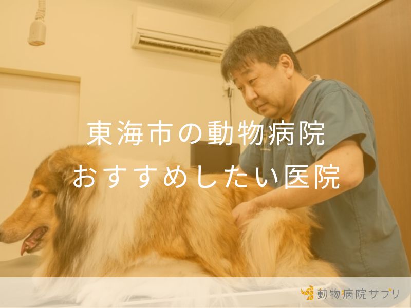 東海市の動物病院 おすすめしたい医院