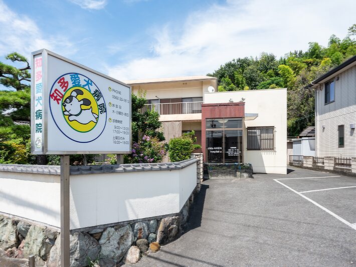 知多愛犬病院