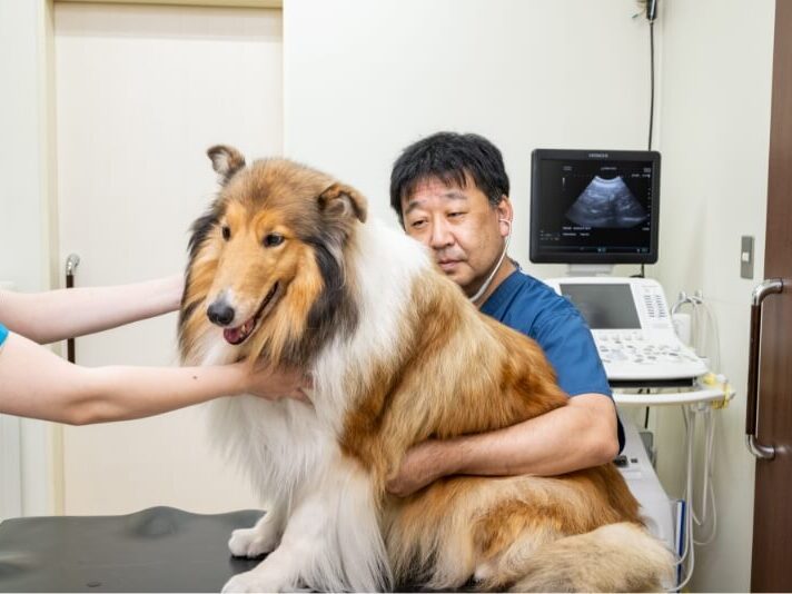 知多愛犬病院