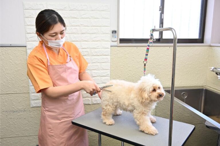 鴨川動物病院