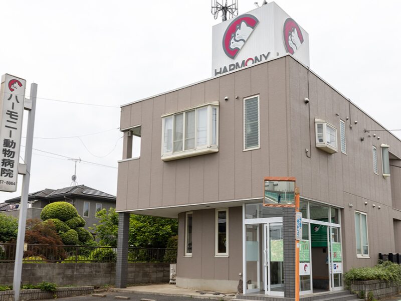 ハーモニー動物病院