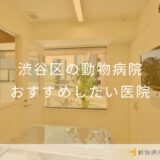 【2025年】渋谷区の動物病院 おすすめしたい7医院