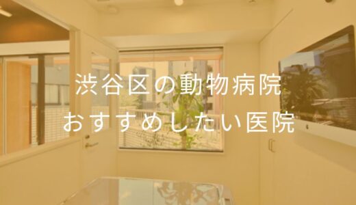 【2025年】渋谷区の動物病院 おすすめしたい7医院