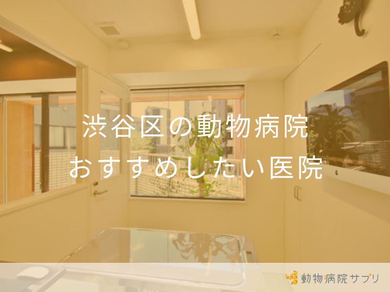 渋谷区の動物病院 おすすめしたい医院