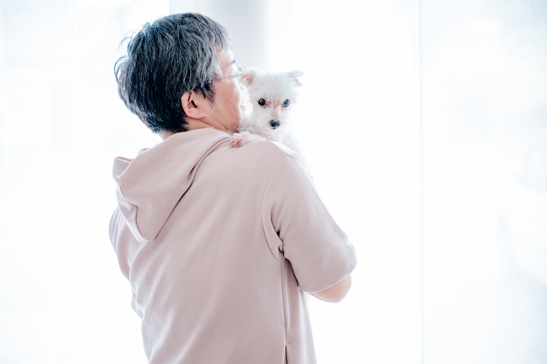 犬が足を噛む場合の対処方法