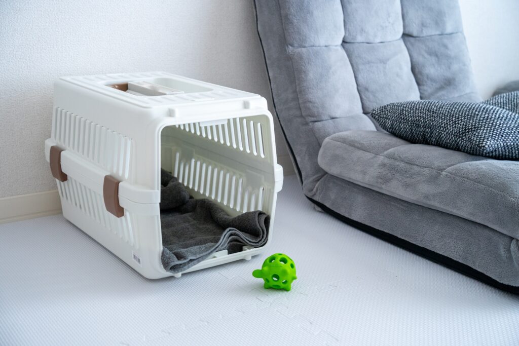 ペットホテルを利用する前に準備すべきこと