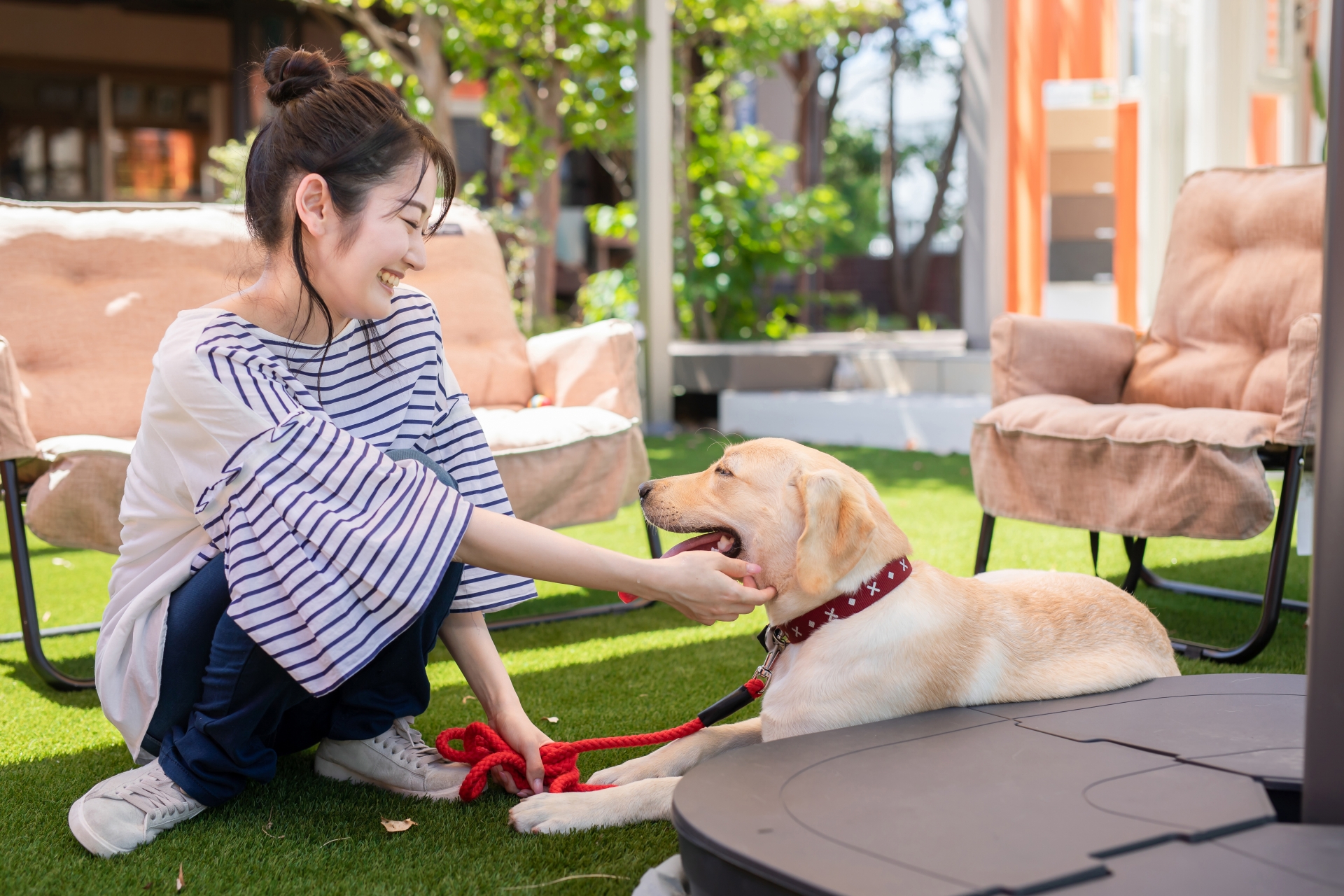 犬と女性