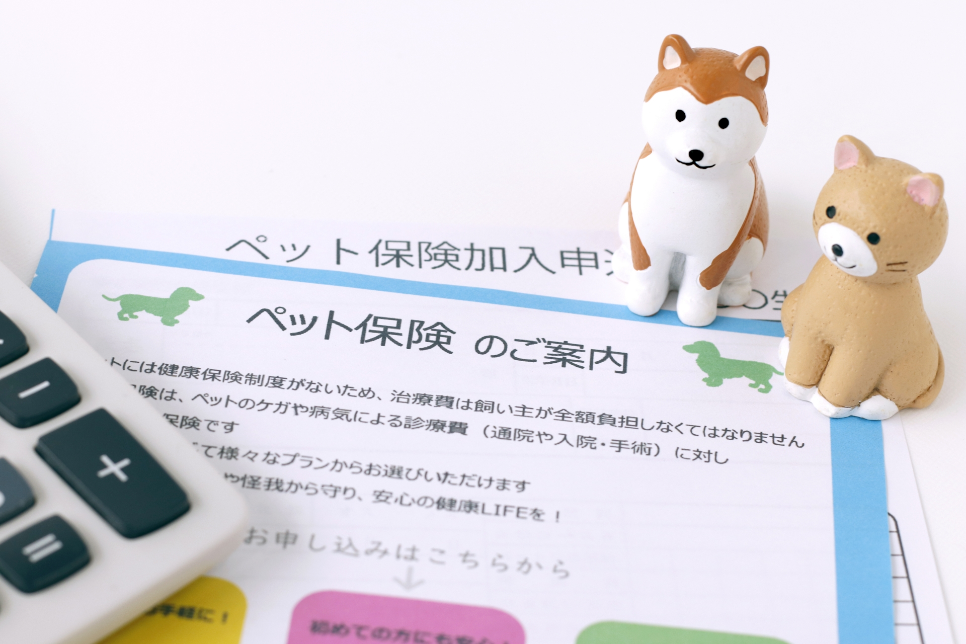 ペット保険の案内