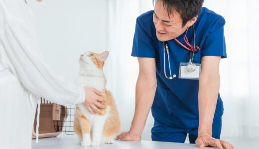 動物病院の往診はどれくらいの料金がかかる？費用の目安やメリット、デメリットを解説