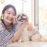 トリミングのサマーカットは危険？サマーカットのメリットや注意点、向かない犬種などを解説
