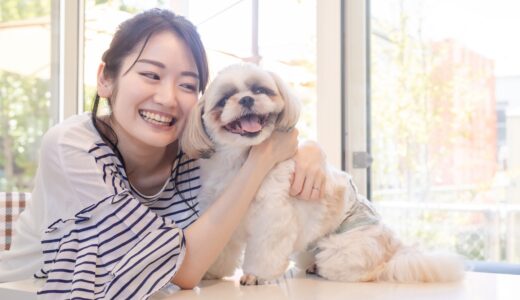 トリミングのサマーカットは危険？サマーカットのメリットや注意点、向かない犬種などを解説