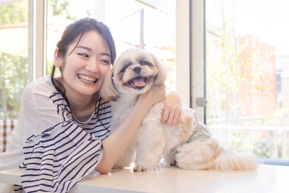トリミングのサマーカットは危険？サマーカットのメリットや注意点、向かない犬種などを解説