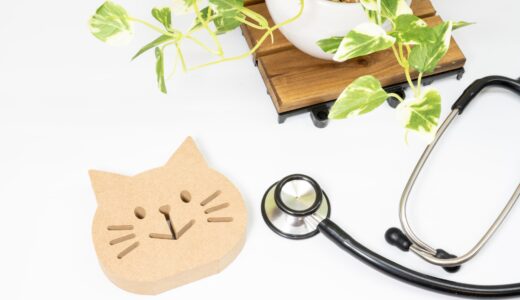 猫も食道炎になる？食道炎になったときに見られる症状や原因や予防法などを解説
