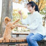 犬のしつけ教室は何回くらい通う？トレーニング内容や教室の選び方も解説