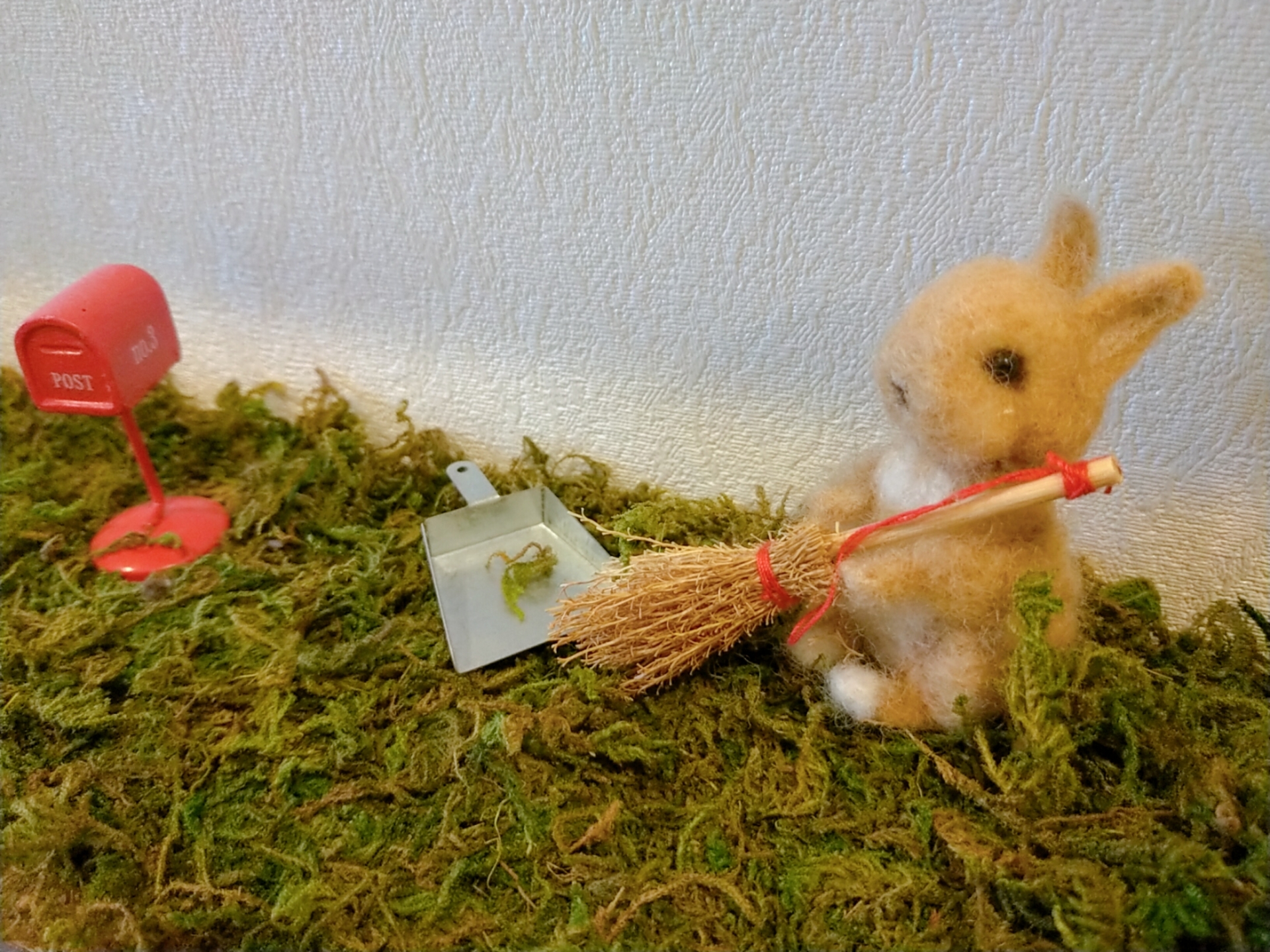 うさぎの掃除
