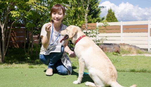 大型犬のしつけはどこで受けられる？しつけ教室で学べることやしつけ教室の選び方を解説