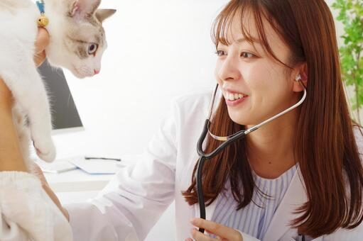 動物病院の猫の健康診断では何がわかる？検査項目や検査の流れ、費用相場を解説