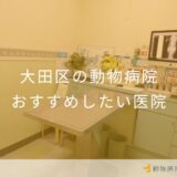 【2025年】大田区の動物病院 おすすめしたい8医院
