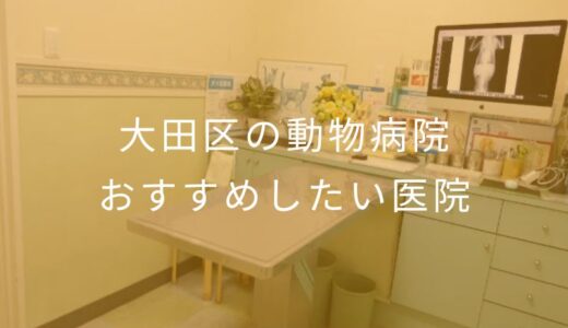 【2025年】大田区の動物病院 おすすめしたい8医院