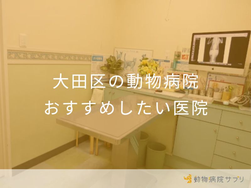 大田区の動物病院 おすすめしたい医院