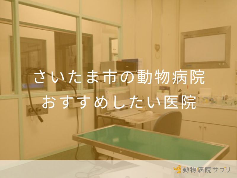 さいたま市の動物病院 おすすめしたい医院